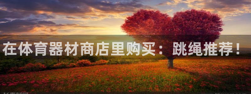 尊龙凯时新闻：在体育器材商店里购买：跳绳推荐！