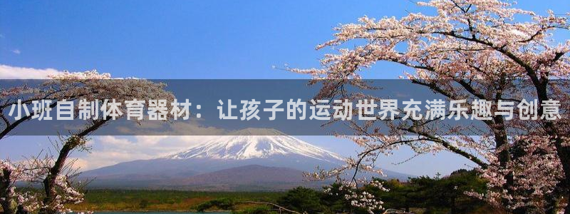 尊龙人生就是博官